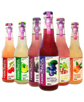 Kombuchá Fada  Azul - 350ml