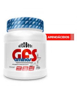 GFS Aminos Powder VitoBest- 250gr